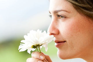 Scents, and why we love and use them