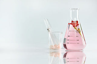 From an idea to the shelf, how a new cosmetic product is born