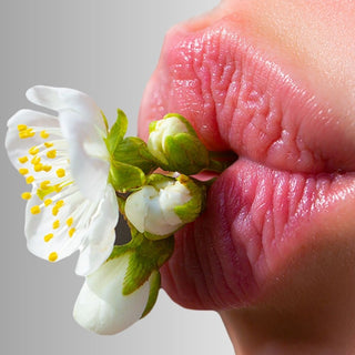 Lip Care