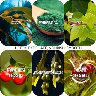 ingredients used in L'or de la Mer Organic Anti Cellulite Body Blaster Scrub