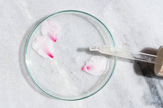 Why antioxidants are essential in your skin care routine