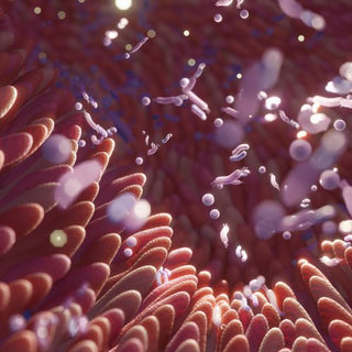 image representing gaba ingredient