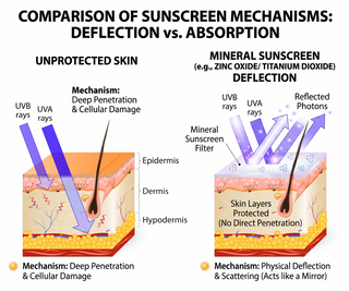 An educational comparison diagram titled 'COMPARISON OF SUNSCREEN MECHANISMS: DEFLECTION vs. ABSORPTION' showing cross-sections of human skin with UV rays.